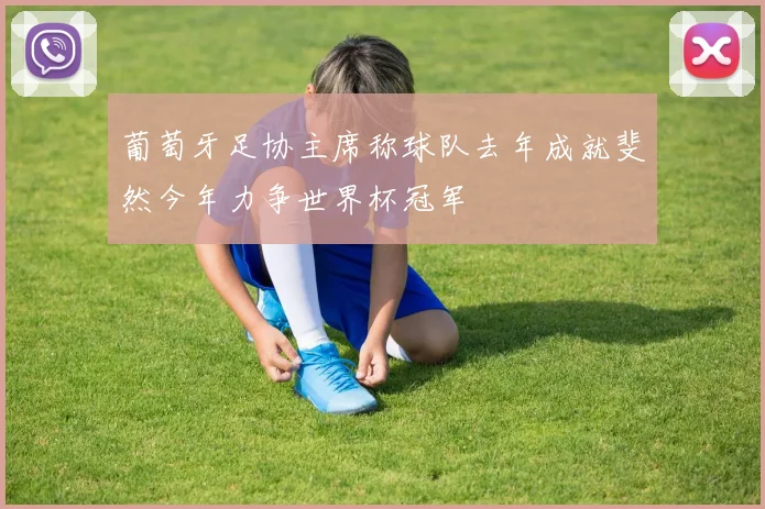 葡萄牙足协主席称球队去年成就斐然今年力争世界杯冠军