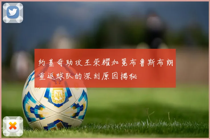 约基奇助攻王荣耀加冕布鲁斯布朗重返球队的深刻原因揭秘