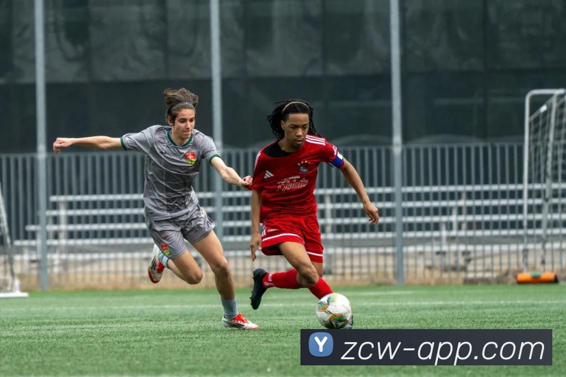 足彩网平台生态图