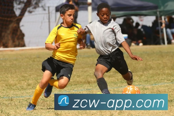 足彩网APP 封面图